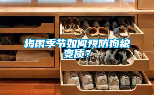 梅雨季節(jié)如何預(yù)防狗糧變質(zhì)？