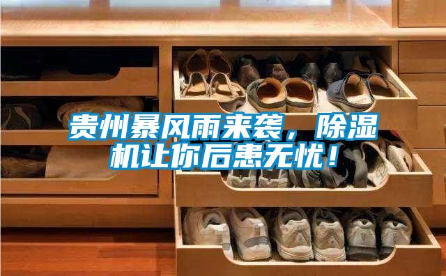 貴州暴風(fēng)雨來襲，除濕機(jī)讓你后患無憂！