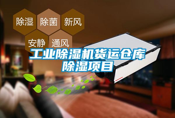 工業(yè)除濕機(jī)貨運(yùn)倉(cāng)庫(kù)除濕項(xiàng)目
