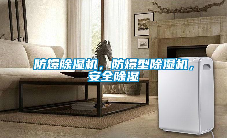 防爆除濕機(jī)，防爆型除濕機(jī)，安全除濕