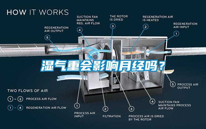 濕氣重會影響月經(jīng)嗎？