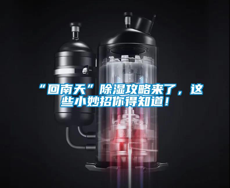 “回南天”除濕攻略來(lái)了，這些小妙招你得知道！