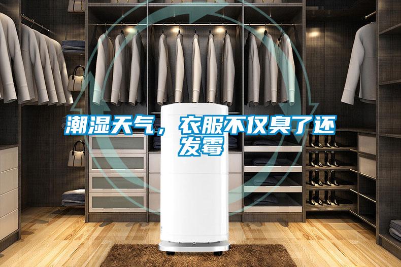 潮濕天氣，衣服不僅臭了還發(fā)霉