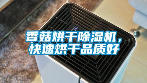 香菇烘干除濕機(jī)，快速烘干品質(zhì)好
