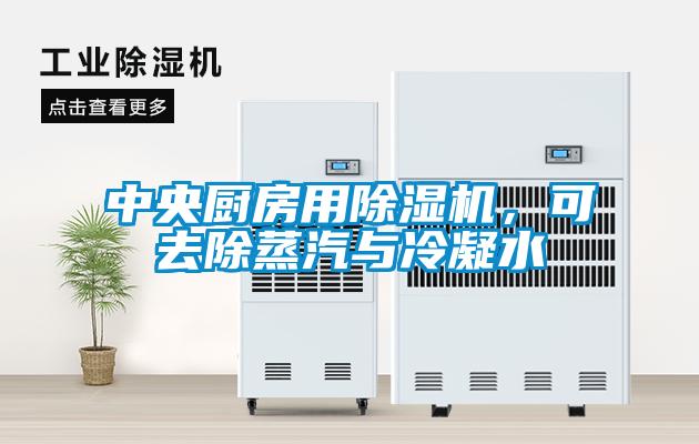 中央廚房用除濕機(jī)，可去除蒸汽與冷凝水