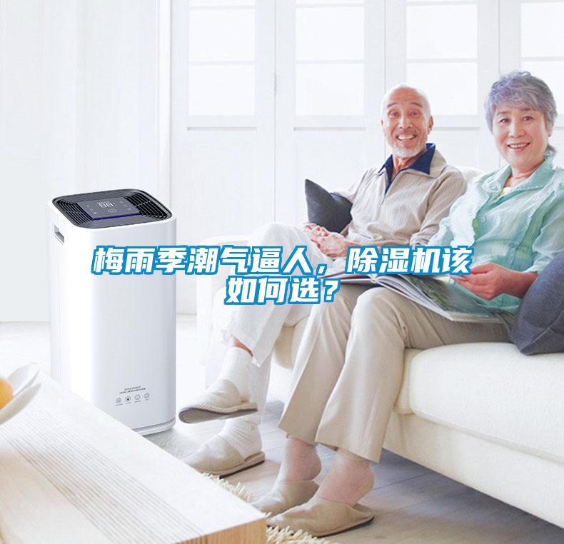 梅雨季潮氣逼人，除濕機(jī)該如何選？