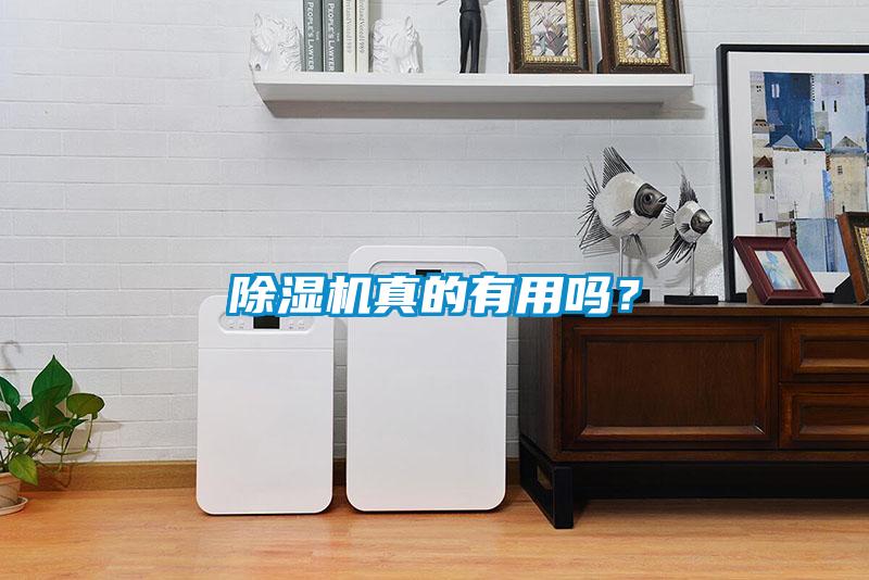 除濕機(jī)真的有用嗎？