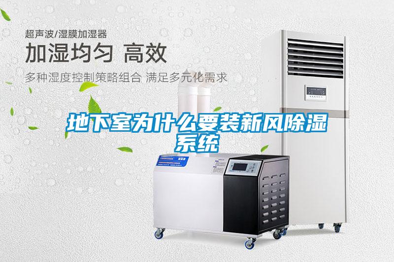 地下室為什么要裝新風除濕系統(tǒng)