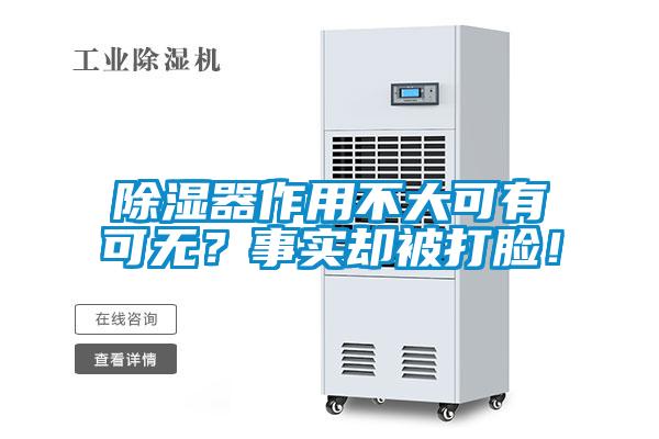 除濕器作用不大可有可無？事實卻被打臉！