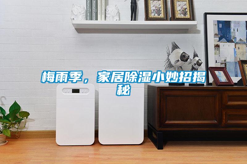 梅雨季，家居除濕小妙招揭秘