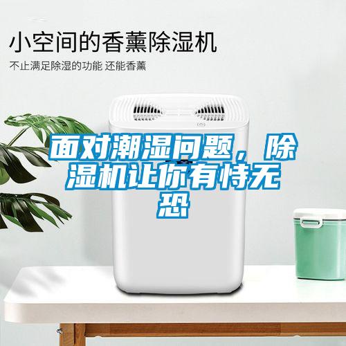 面對潮濕問題，除濕機(jī)讓你有恃無恐