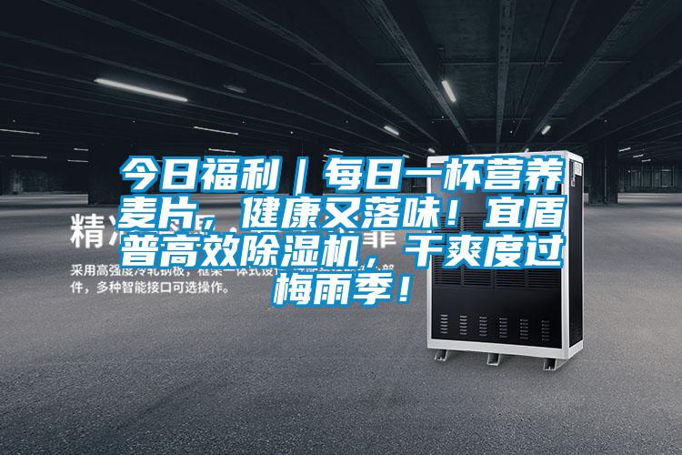 今日福利｜每日一杯營(yíng)養(yǎng)麥片，健康又落味！宜盾普高效除濕機(jī)，干爽度過梅雨季！