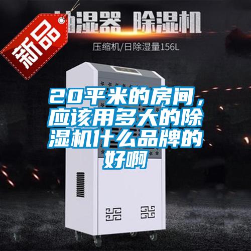 20平米的房間，應(yīng)該用多大的除濕機(jī)什么品牌的好啊