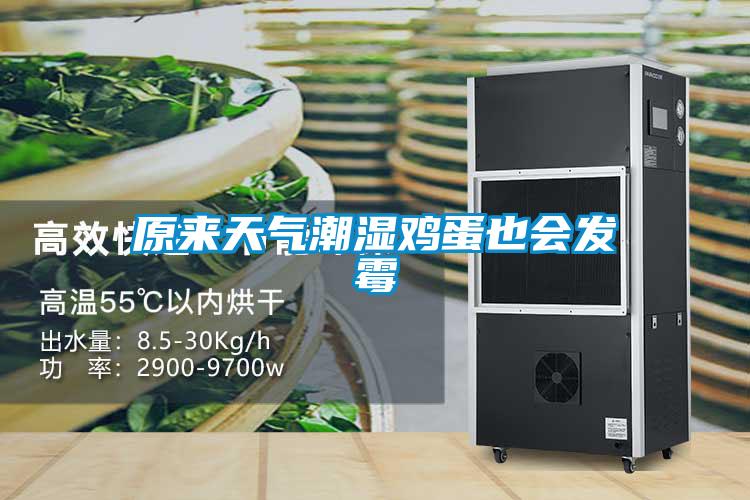 原來天氣潮濕雞蛋也會(huì)發(fā)霉