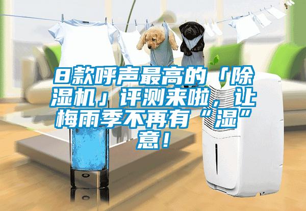 8款呼聲最高的「除濕機」評測來啦，讓梅雨季不再有“濕”意！