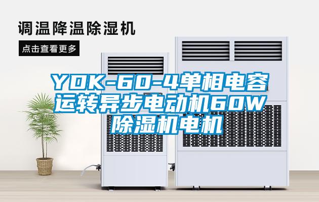 YDK-60-4單相電容運轉(zhuǎn)異步電動機60W 除濕機電機