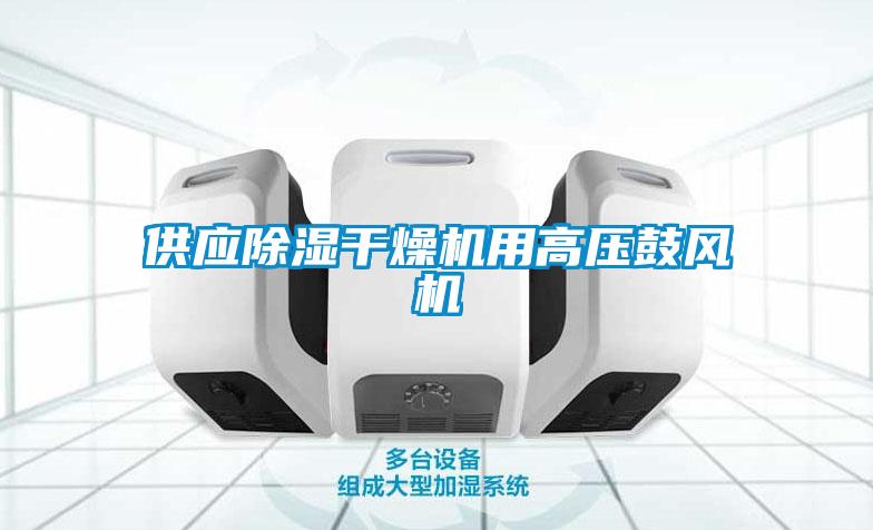 供應(yīng)除濕干燥機用高壓鼓風(fēng)機