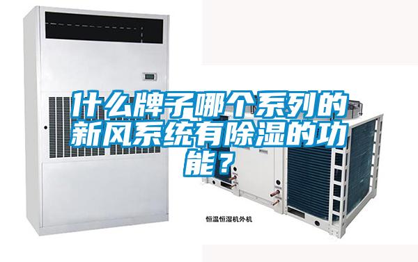 什么牌子哪個系列的新風系統(tǒng)有除濕的功能？