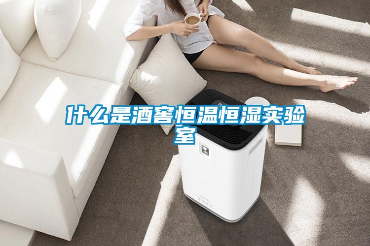 什么是酒窖恒溫恒濕實(shí)驗(yàn)室