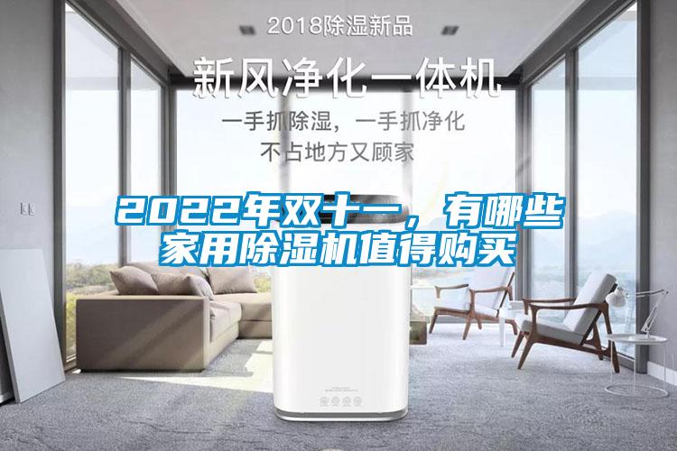 2022年雙十一，有哪些家用除濕機(jī)值得購買