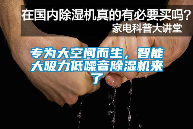 專為大空間而生，智能大吸力低噪音除濕機來了