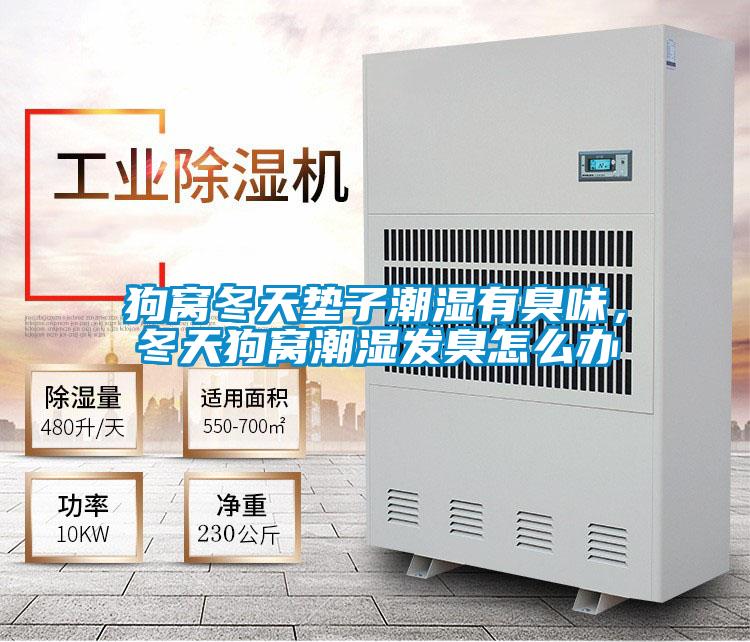 狗窩冬天墊子潮濕有臭味，冬天狗窩潮濕發(fā)臭怎么辦