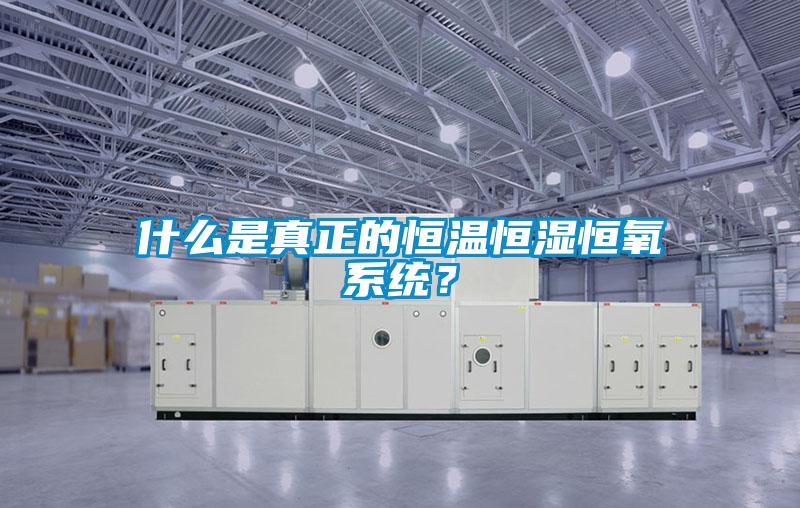 什么是真正的恒溫恒濕恒氧系統(tǒng)？