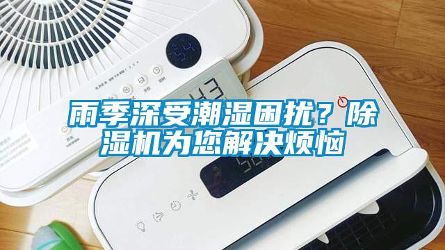 雨季深受潮濕困擾？除濕機(jī)為您解決煩惱
