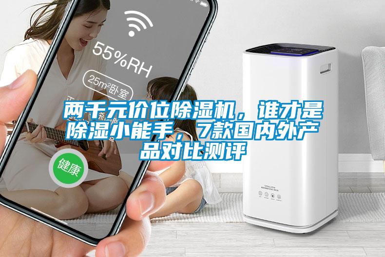 兩千元價位除濕機，誰才是除濕小能手，7款國內外產品對比測評