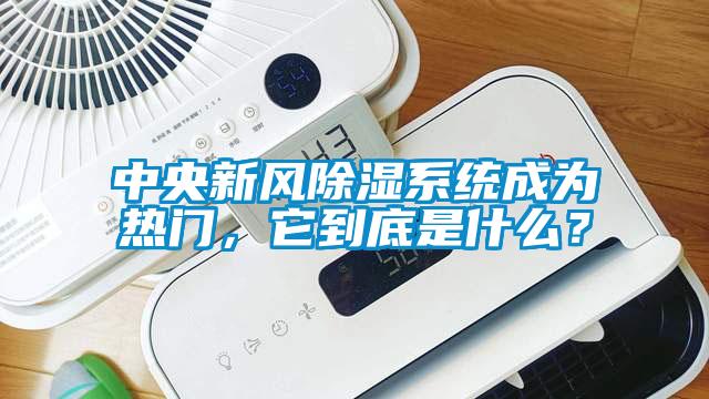 中央新風(fēng)除濕系統(tǒng)成為熱門，它到底是什么？