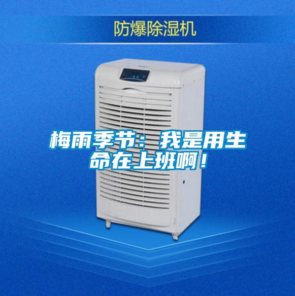 梅雨季節(jié)：我是用生命在上班??！