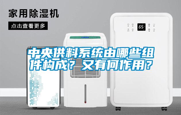 中央供料系統(tǒng)由哪些組件構(gòu)成？又有何作用？