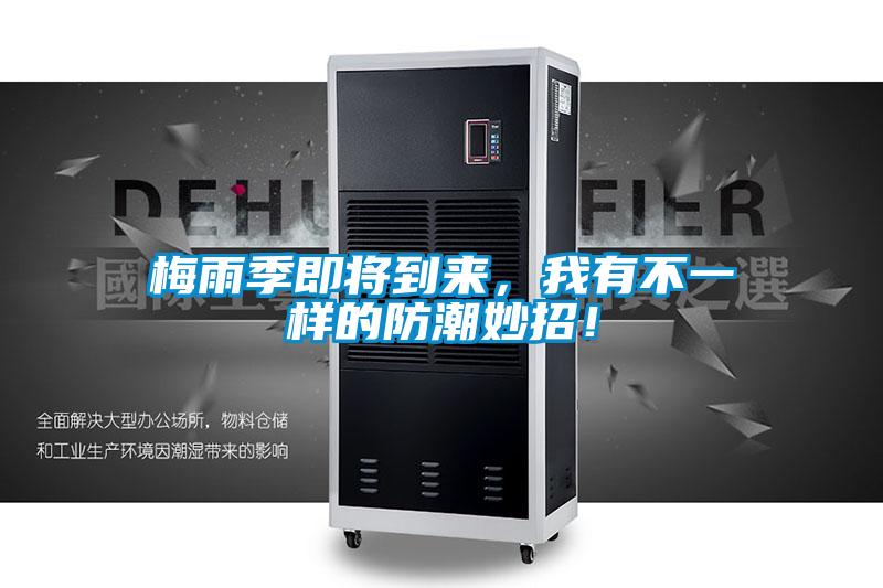 梅雨季即將到來，我有不一樣的防潮妙招！