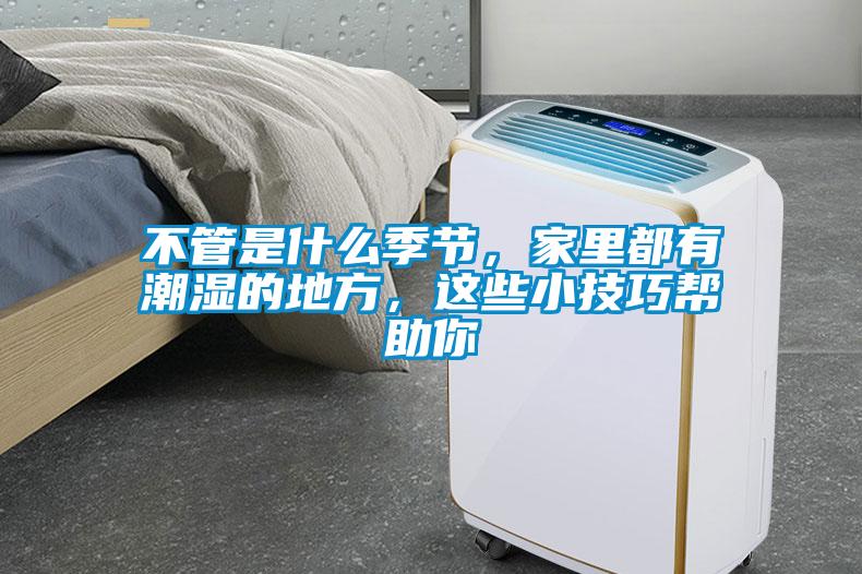不管是什么季節(jié)，家里都有潮濕的地方，這些小技巧幫助你