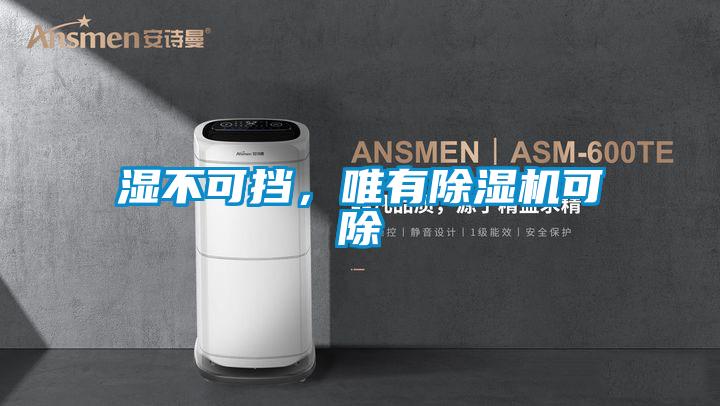 濕不可擋，唯有除濕機可除