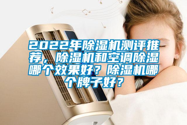 2022年除濕機(jī)測(cè)評(píng)推薦，除濕機(jī)和空調(diào)除濕哪個(gè)效果好？除濕機(jī)哪個(gè)牌子好？