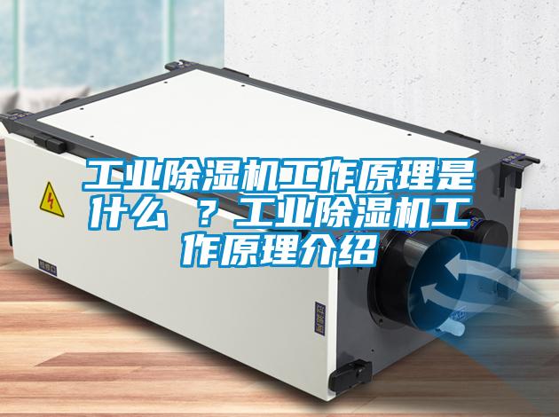 工業(yè)除濕機(jī)工作原理是什么 ？工業(yè)除濕機(jī)工作原理介紹