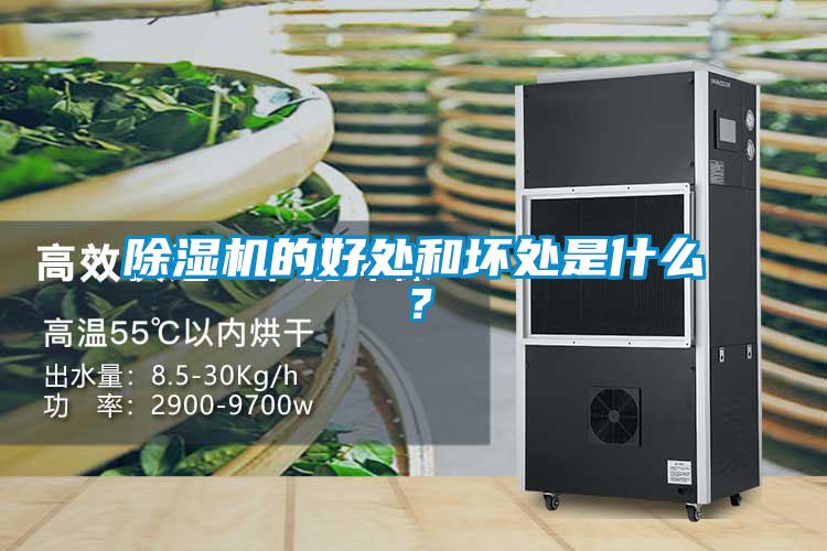 除濕機的好處和壞處是什么？
