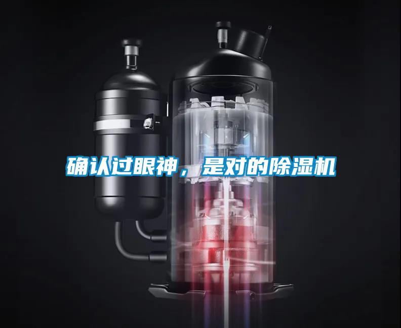 確認(rèn)過眼神，是對(duì)的除濕機(jī)