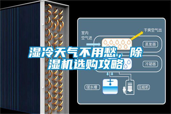 濕冷天氣不用愁，除濕機選購攻略