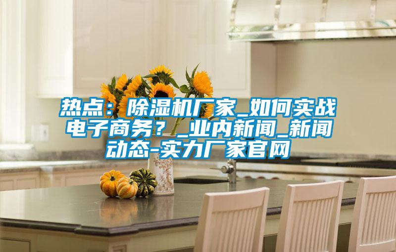 熱點(diǎn)：除濕機(jī)廠(chǎng)家_如何實(shí)戰(zhàn)電子商務(wù)？_業(yè)內(nèi)新聞_新聞動(dòng)態(tài)-實(shí)力廠(chǎng)家官網(wǎng)