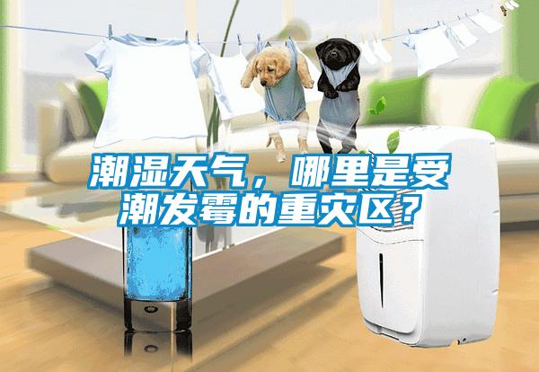 潮濕天氣，哪里是受潮發(fā)霉的重災(zāi)區(qū)？