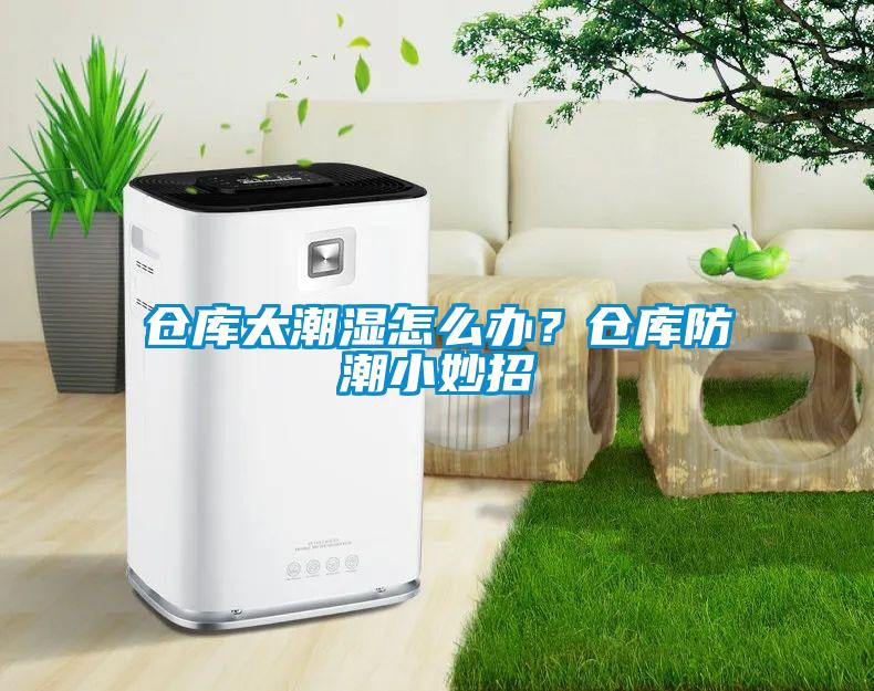 倉庫太潮濕怎么辦？倉庫防潮小妙招