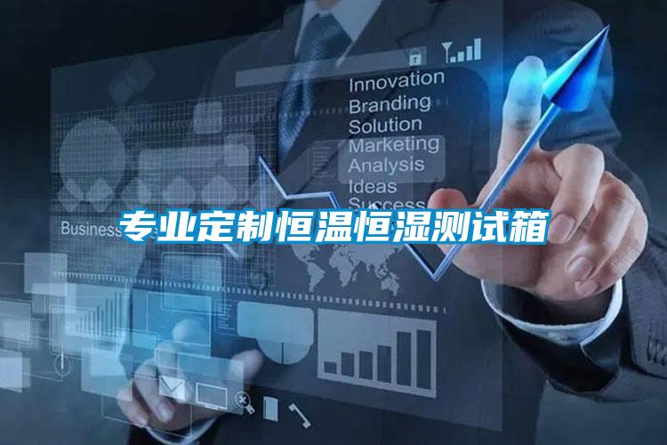 專(zhuān)業(yè)定制恒溫恒濕測(cè)試箱