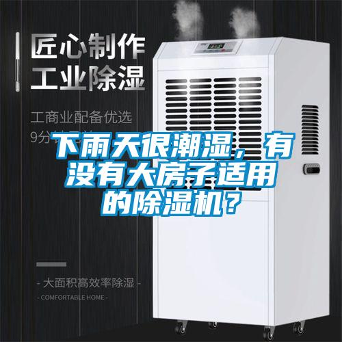 下雨天很潮濕，有沒有大房子適用的除濕機(jī)？