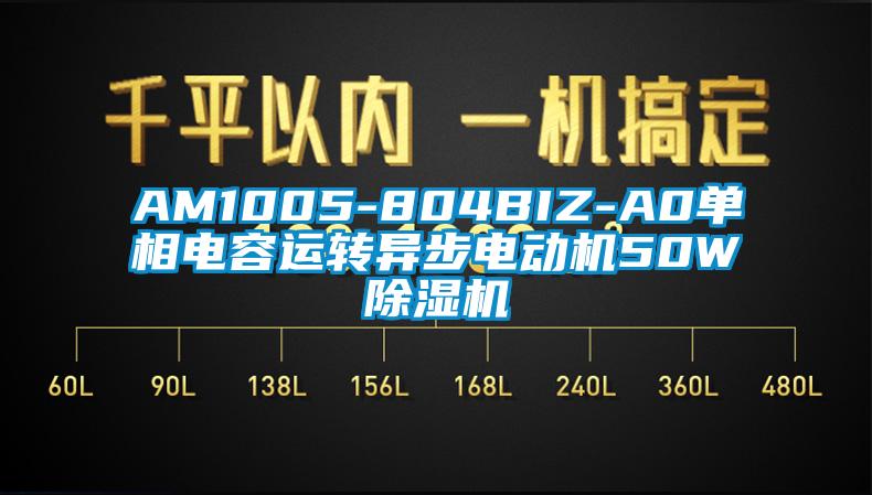 AM1005-804BIZ-A0單相電容運(yùn)轉(zhuǎn)異步電動機(jī)50W除濕機(jī)