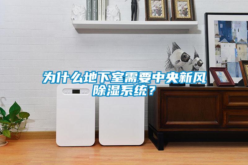 為什么地下室需要中央新風(fēng)除濕系統(tǒng)？