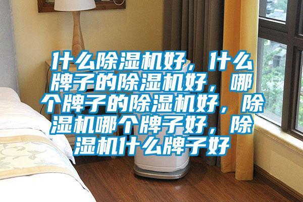 什么除濕機好，什么牌子的除濕機好，哪個牌子的除濕機好，除濕機哪個牌子好，除濕機什么牌子好