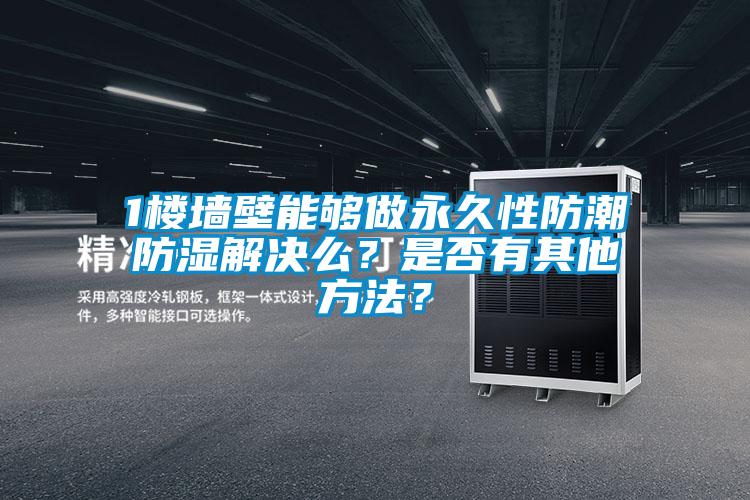 1樓墻壁能夠做永久性防潮防濕解決么？是否有其他方法？