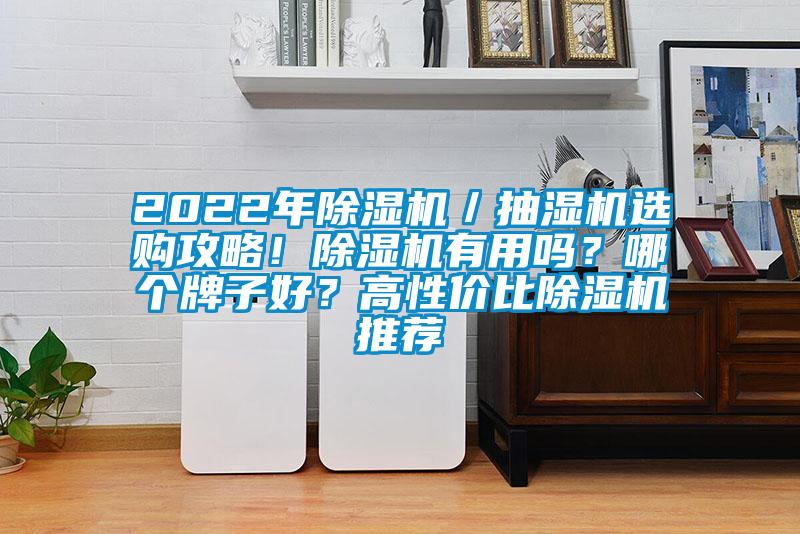 2022年除濕機(jī)／抽濕機(jī)選購(gòu)攻略！除濕機(jī)有用嗎？哪個(gè)牌子好？高性價(jià)比除濕機(jī)推薦